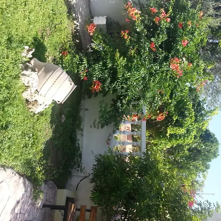 Mike's House Faliraki